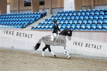 181887_mtp_04_R62_8552.JPG