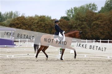 181923_mtp_01_R62_6458.JPG