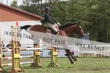 5925_ma_05_IMG_0962.JPG