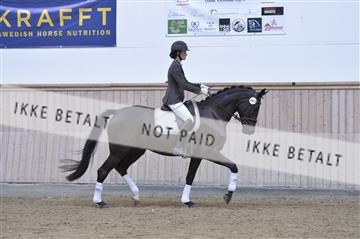 160111_nn_01__ESK1644.JPG