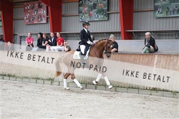 181867_mtp_02_R62_4390.JPG