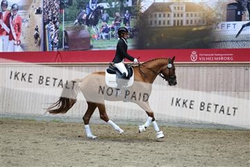 181887_mtp_05_R62_9903.JPG