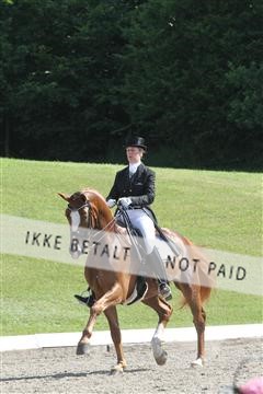 135676_sg_01_IMG_7820.JPG