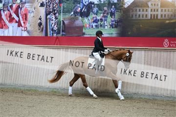 181887_mtp_04_R62_8239.JPG