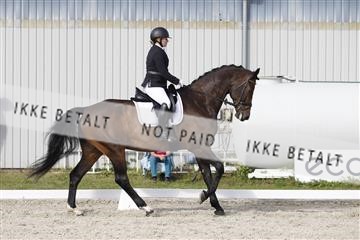 166574_rhj_02_J7R1174.JPG