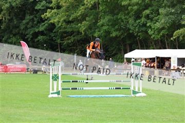 181805_mlm_01_R62_4112.JPG