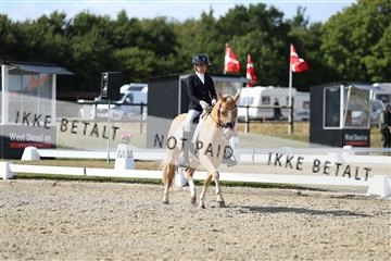 181894_mtp_05_R62_4791.JPG