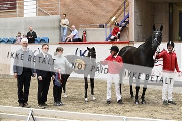 181957_kbb_03_Z091094.JPG