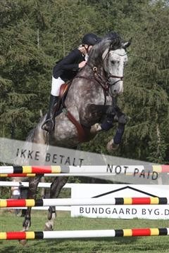 5925_ma_04_IMG_0462.JPG