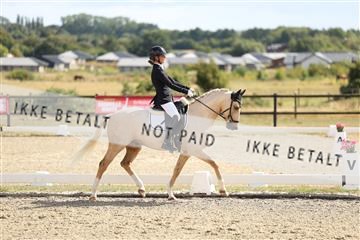 181894_mtp_02_R62_2032.JPG