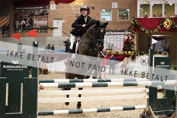 175934_avh_02_7151.JPG