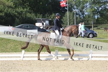 148862_sg_01_IMG_3020.JPG