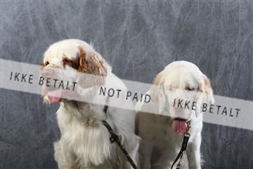 129608_le_ 01_0741.JPG