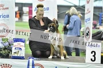 163793_bkn_01__BKN8912.JPG