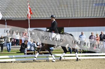 136195_abo_01__AB16318.JPG
