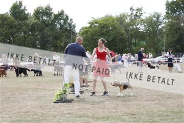 181848_kar_01__62_1072.JPG