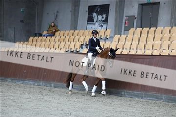 181852_mtp_01_R62_1472.JPG