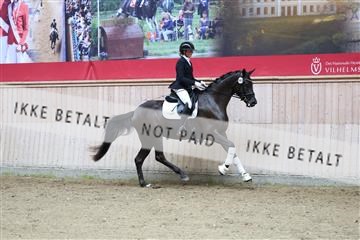 181887_mtp_04_R62_8958.JPG