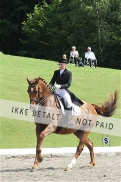 135676_sg_01_IMG_8049.JPG