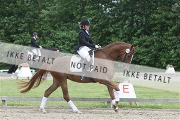 135518_ms_01_IMG_1770.JPG