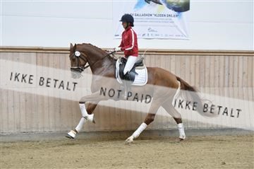 160111_nn_01__ESK1778.JPG