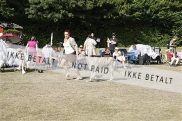 181848_kar_01__62_2225.JPG