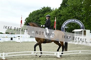181449_kbb_03_Z091775.JPG