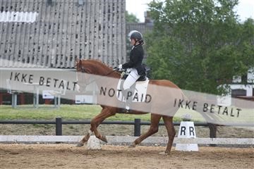 147698_nn_01_IMG_0167.JPG