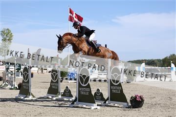181436_avh_02_3554.JPG