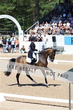 181726_mlm_01_R62_0096.JPG