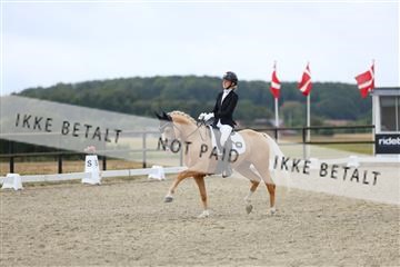 181894_mtp_04_R62_3749.JPG