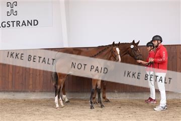 181755_bc_01R62_1524.JPG