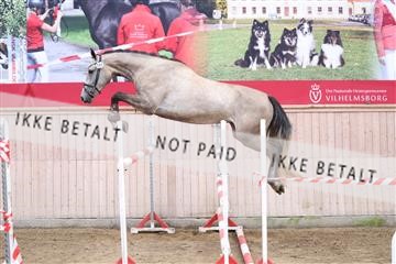175170_kbb_01_R6II3981.JPG