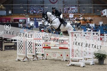 175934_avh_01_6670.JPG