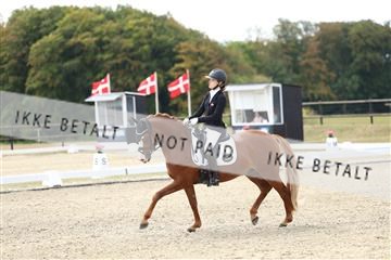 181894_mtp_02_R62_1193.JPG