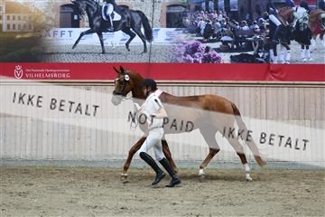 181887_mtp_03_R62_8072.JPG