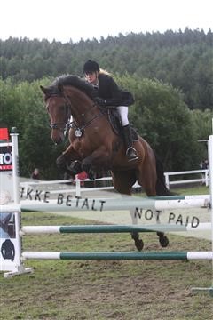 5925_ma_05_IMG_0557.JPG
