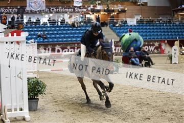 175934_avh_02_7822.JPG