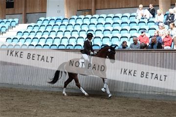 181887_mtp_01_R62_7161.JPG