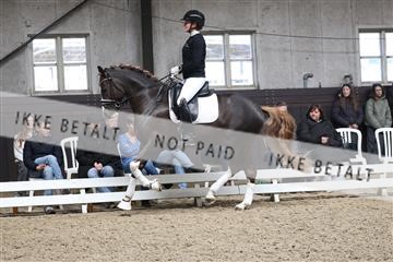 179104_avh_02_3223.JPG