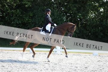 172073_mtp_01_3M5A4798.JPG