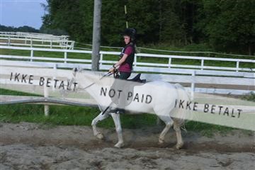 110-1044_IMG.JPG