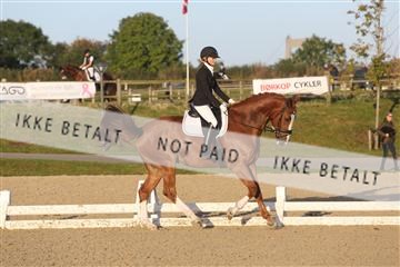 148862_sg_01_IMG_2077.JPG
