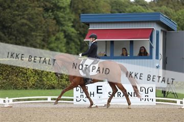 181957_mtp_01_3M5A7809.JPG