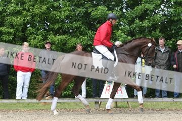 135518_ms_01_IMG_0853.JPG