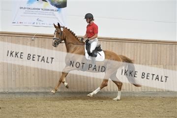 160111_nn_01__ESK1715.JPG