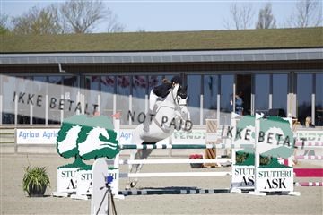 181332_kbb_01_6II3595.JPG