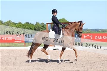 181449_bc_01R62_6027.JPG