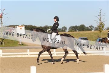 148862_sg_01_IMG_2441.JPG