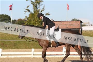 148862_sg_01_IMG_2388.JPG